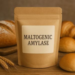 Maltogenic Amylase