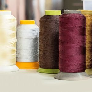 Peroxide Killer Enzyme