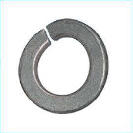 Curved Spring Washer