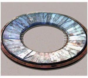 Steel Bull Ring Segments