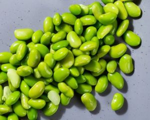 Frozen Valor Papdi Lilva