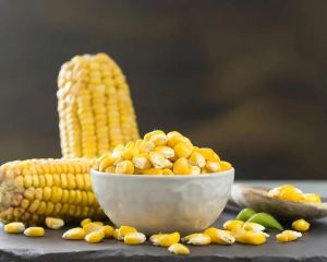 Mini Corn Frozen, Packaging Type : Golden Yellow