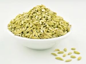 Fennel Seeds & Powder