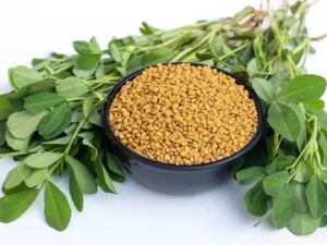 Fenugreek  Whole