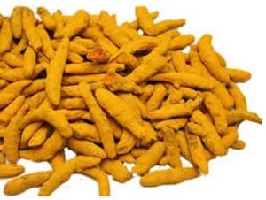 Turmeric Finger, Color : Yellow