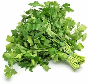 A Grade Frozen Parsley Leaves, Color : Green for Cooking