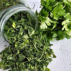 Freeze Dried Cilantro