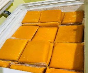 Frozen Alphonso Mango Pulp Puree