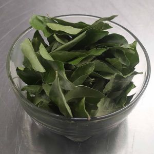 Natural Frozen Curry Leaves, Color : Green, Packaging Type : Packet