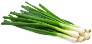 Frozen Spring Onion, Color : Green for Cooking