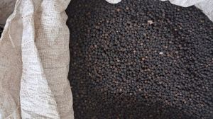 Natural Pepper Seeds, Packaging Size : 1Kg, 10Kg, 5kg, 25kg 9%