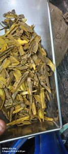 Daru Haldi (Berberis Aristata)