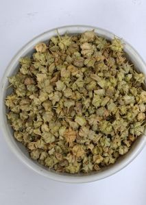 Soft Fine Processed Dry Gokhru Seeds, Seed Type : Hybrid