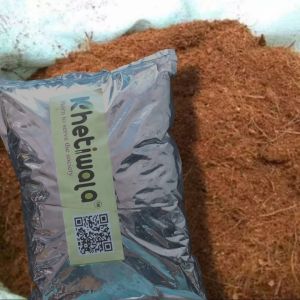 Coir Pith Powder