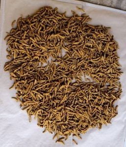 organic turmeric finger