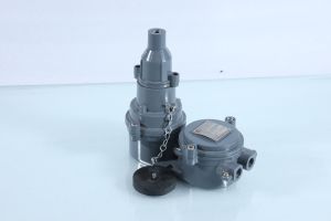 Flameproof Switch Socket With Plug