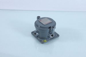 Coated Flameproof Junction Box, Brand Name : Ils