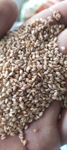 Raw Sesame Seeds