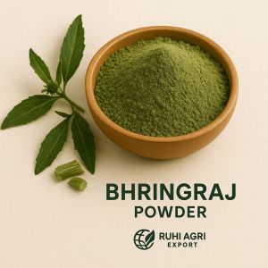 Bhringraj Powder, Color : Green, Packaging Type : Foil Pouch