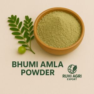 Bhumi Amla Powder, Color : Green, Packaging Type : Zip Pouch