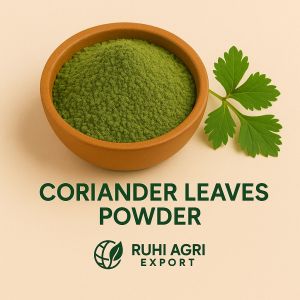 Dehydrated Coriander Leaves Powder, Color : Green, Purity : 99%