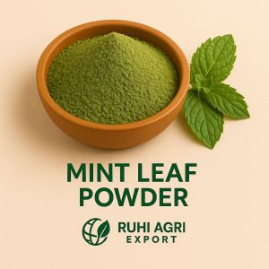 Dehydrated Mint Leaves Powder
