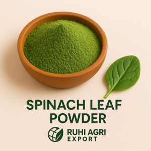 Dehydrated Spinach Leaves Powder, Color : Green