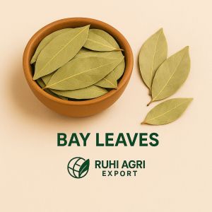 Dried Bay Leaf, Packaging Type : PP Bag, Form : Leaves