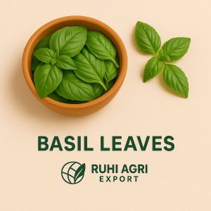 Organic Green Holy Basil Leaves