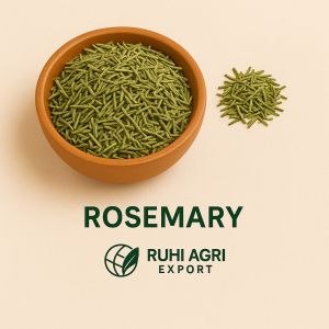GMO Green Rosemary Dry Leaves