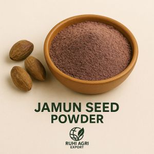 Jamun Powder, Color : Purple, Packaging Type : Foil Pouch