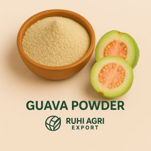 Spray Dried Guava Powder, Color : Pale Yellow