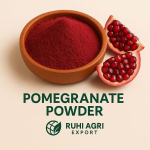 Spray Dried Pomegranate Powder, Color : Pinkish
