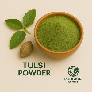 Tulsi Powder, Color : Green, Greenish-brown, Purity : 100%