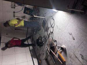 Pest Control Services