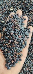 Butterfly Pea Flower Seeds