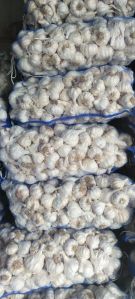 Organic Fresh Garlic, Color : Creamy for Cooking