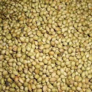 coriander seeds