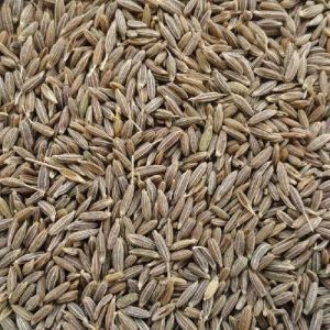 cumin seeds