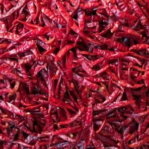 Dried Red Chilli