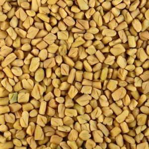 fenugreek seeds
