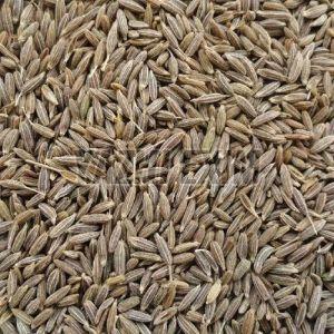 Brown Organic Cumin Seeds, Seed Type : Natural Food Grade for Cooking