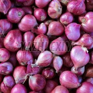 Red Fresh Onion, Cultivation Type : Organic for Cooking