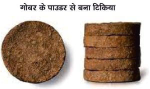 cow dung cake
