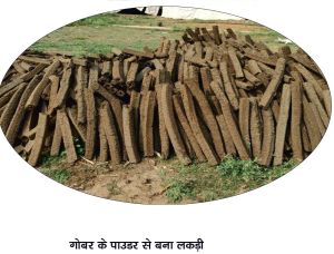 Cow Dung Wood Log
