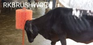 Polished PET Grooming Brushes, Color : Orange