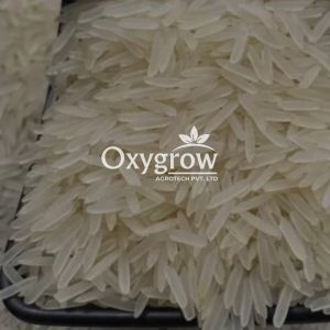 1121 Creamy Sella Basmati Rice