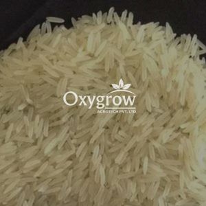 Organic 1509 Creamy Sella Basmati Rice, Variety : Long Grain