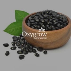 Black Gram, Certification : FSSAI for Cooking