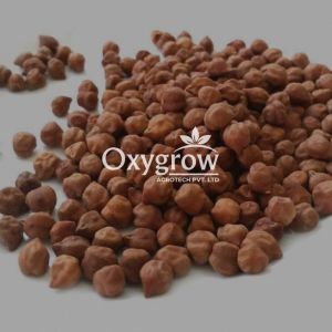 Hard Organic Desi Chana, Certification : FSSAI Certified for Cooking